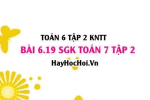 Bài 6.19 SGK Toán 7 tập 2 Kết nối tri thức